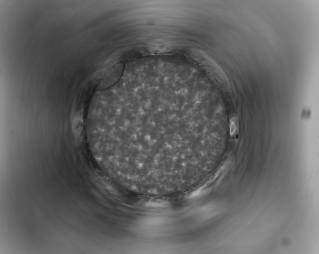 X0000101951011200808151248