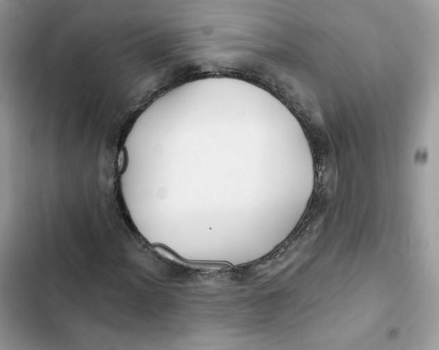 X0000101951012200808151248