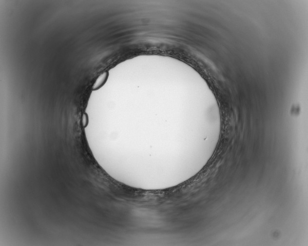 X0000101951013200808151248