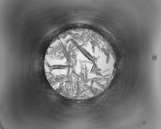 X0000101951014200808151248
