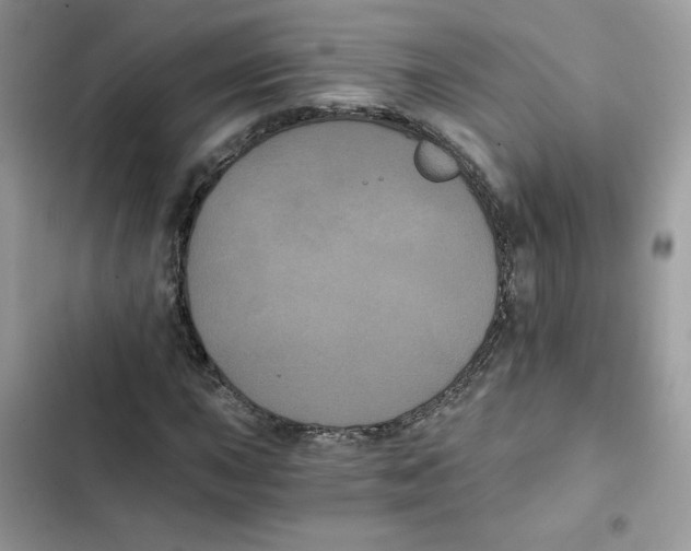 X0000101951015200808151248