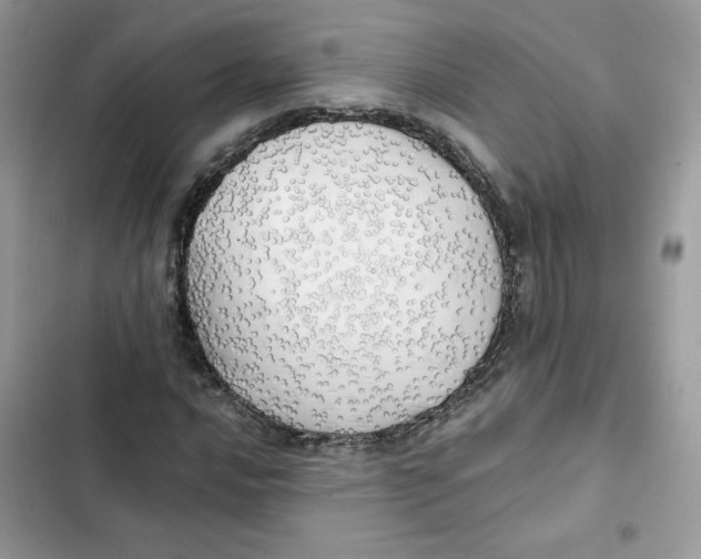 X0000101951016200808151248