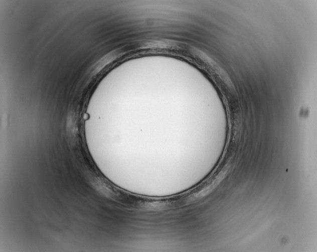 X0000101951017200808151248