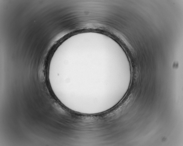 X0000101951018200808151248