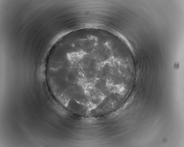 X0000101951019200808151248