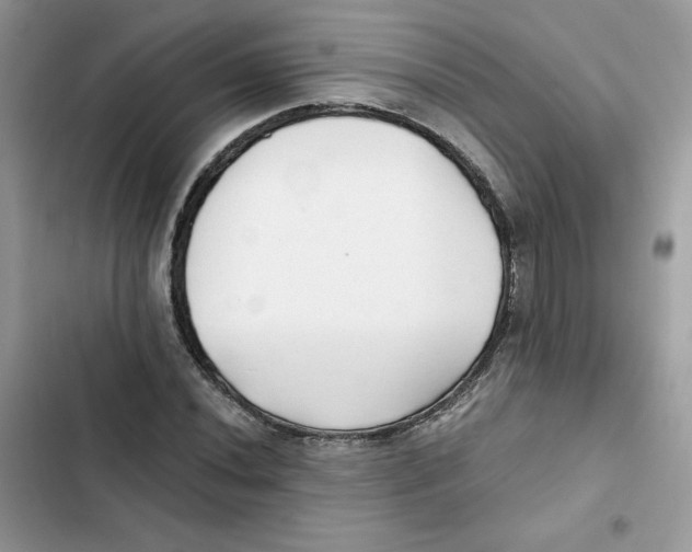 X0000101951020200808151248