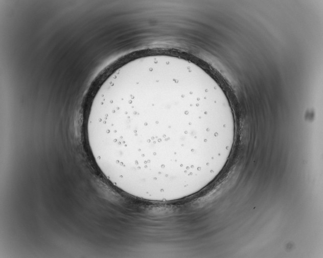 X0000101951021200808151248