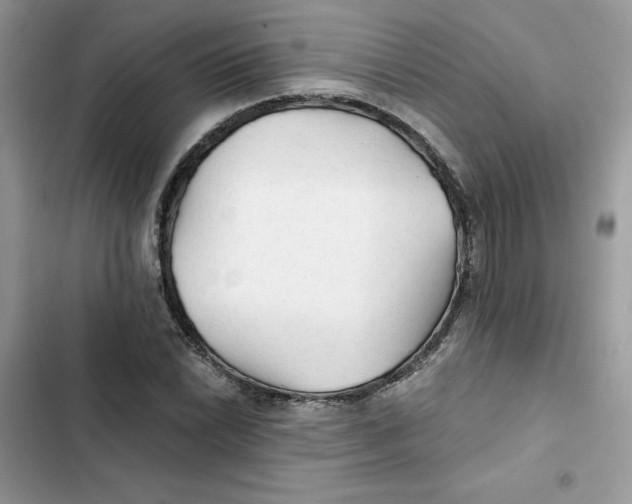 X0000101951022200808151248