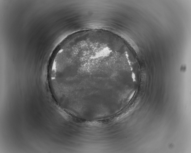 X0000101951023200808151248