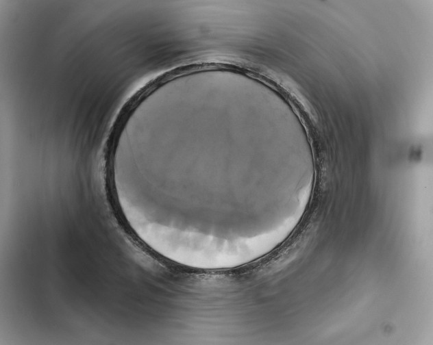 X0000101951024200808151248