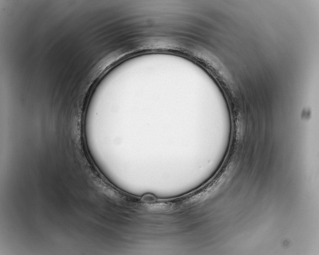 X0000101951025200808151248