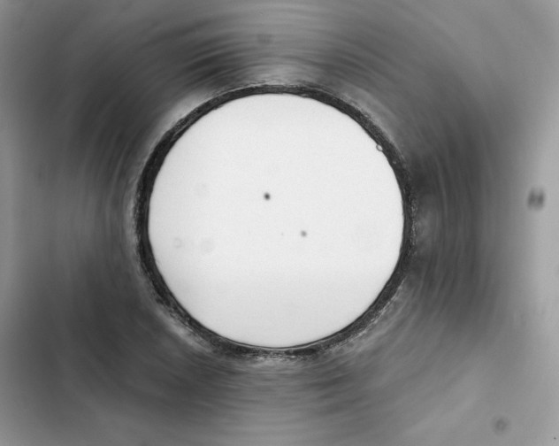 X0000101951026200808151248