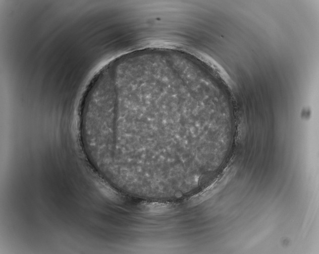 X0000101951027200808151248