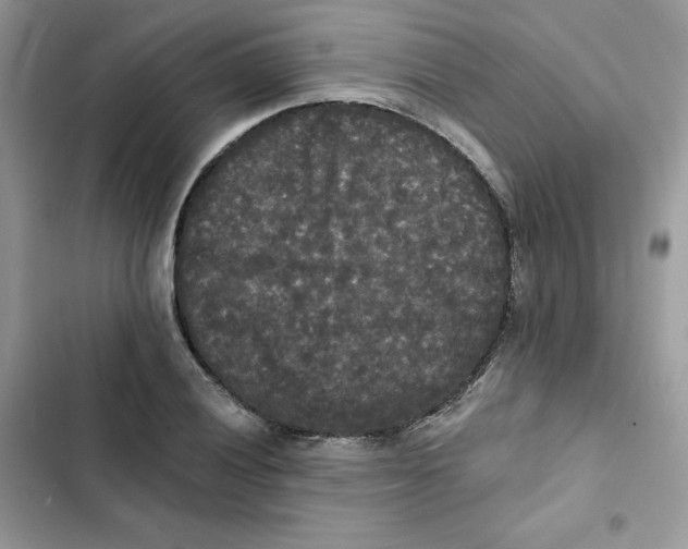 X0000101951028200808151248