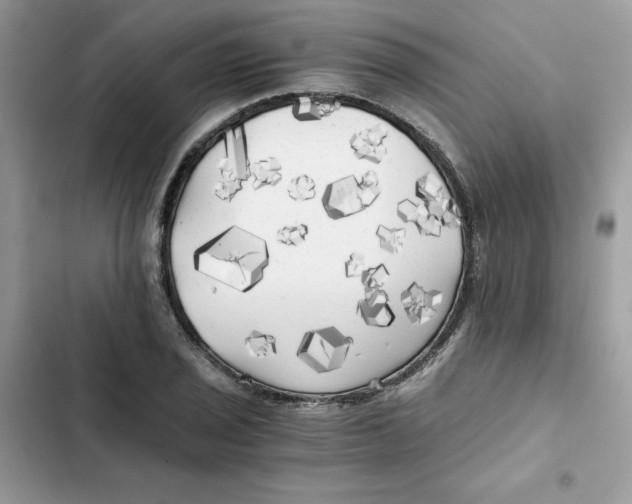 X0000101951029200808151248