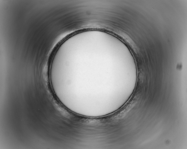 X0000101951030200808151248