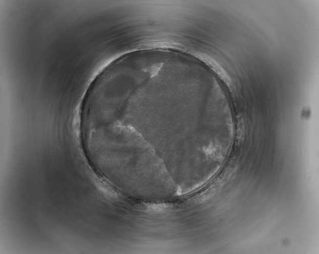 X0000101951031200808151248