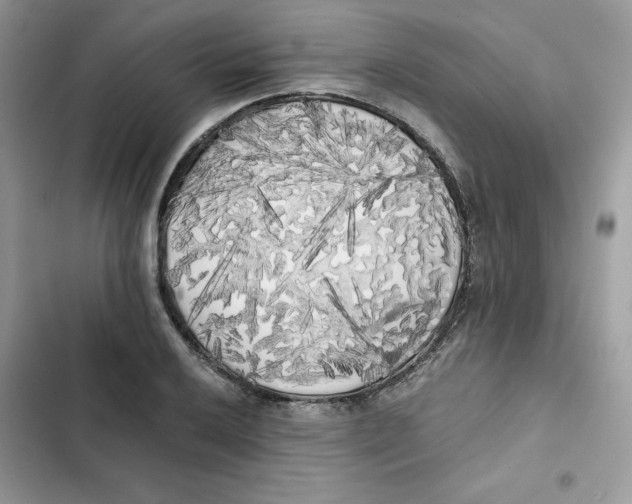 X0000101951032200808151248