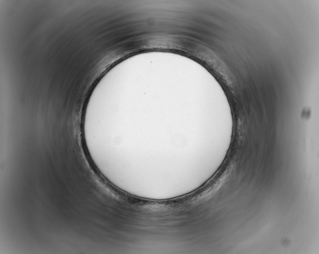 X0000101951033200808151248
