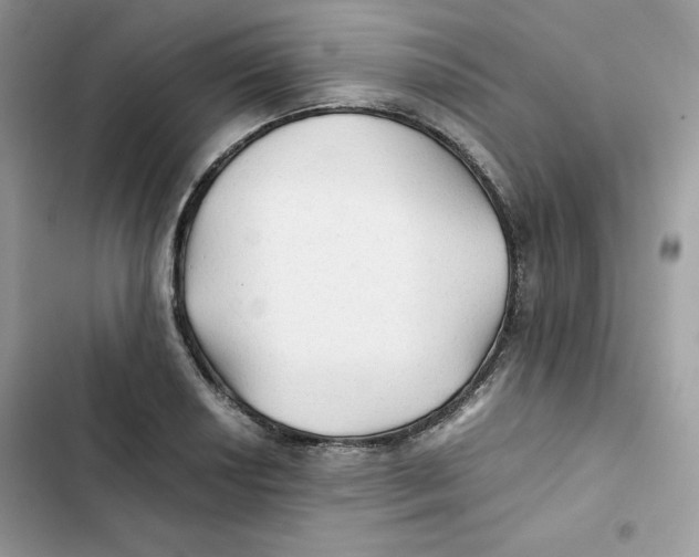 X0000101951034200808151248