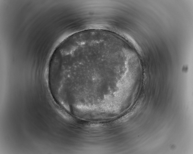 X0000101951035200808151248