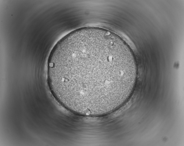 X0000101951036200808151248