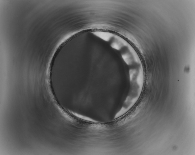X0000101951037200808151248