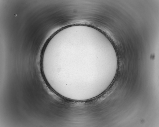 X0000101951038200808151248