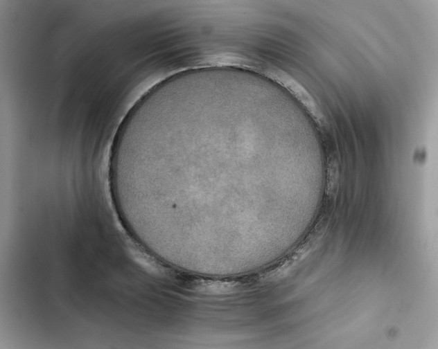X0000101951039200808151248