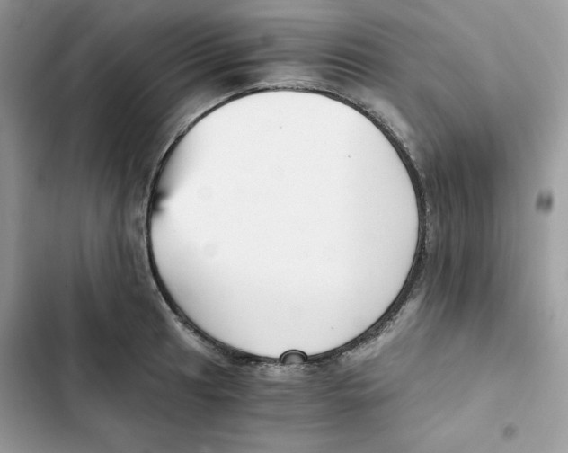 X0000101951041200808151248