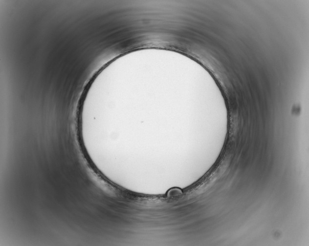 X0000101951042200808151248
