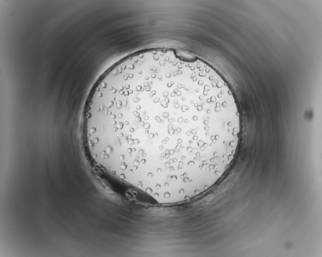 X0000101951044200808151248