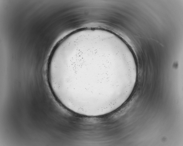 X0000101951045200808151248