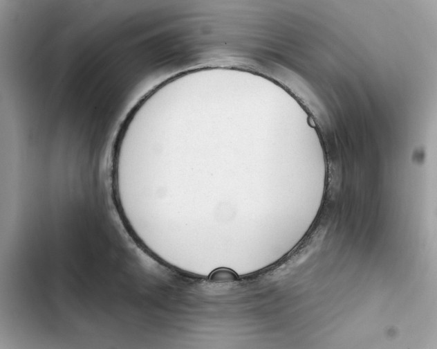 X0000101951046200808151248