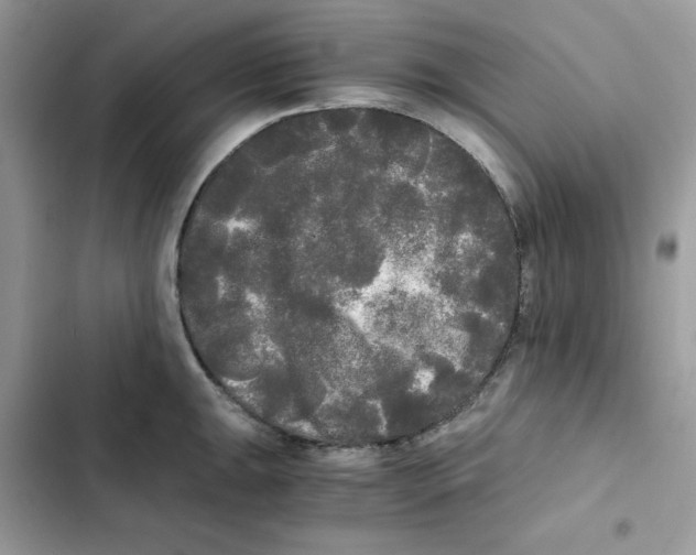 X0000101951047200808151248
