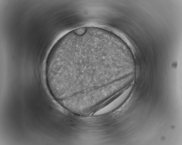 X0000101951048200808151248