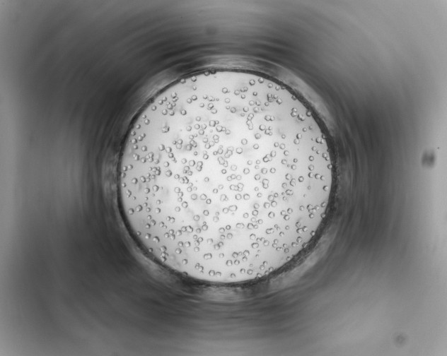 X0000101951049200808151248