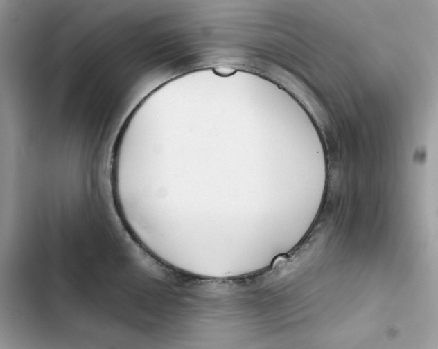 X0000101951050200808151248