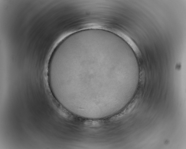 X0000101951051200808151248