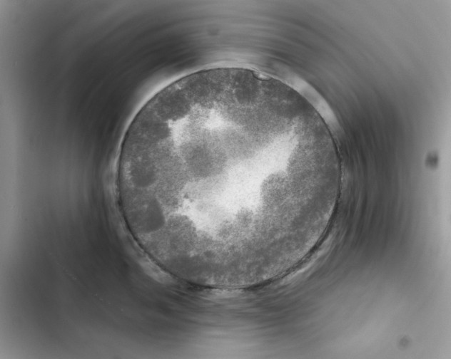 X0000101951052200808151248