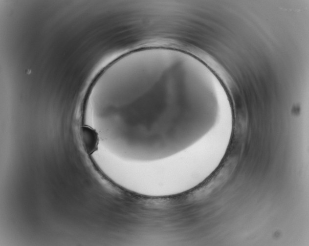 X0000101951053200808151248
