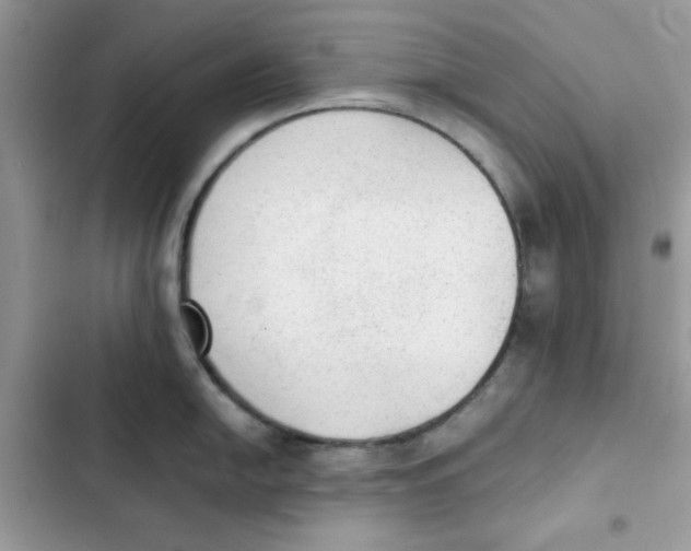 X0000101951054200808151248