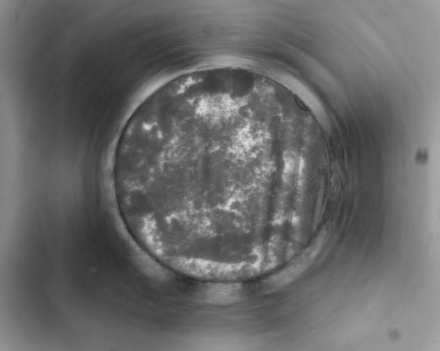 X0000101951055200808151248