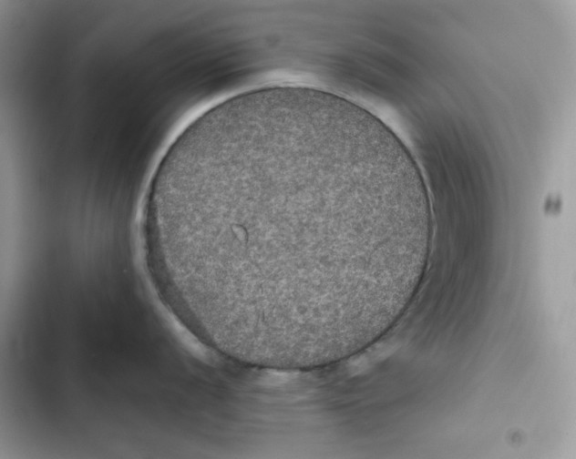 X0000101951056200808151248