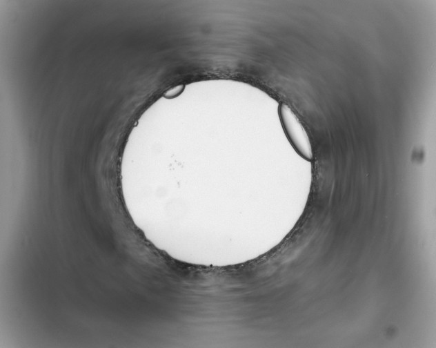 X0000101951057200808151248