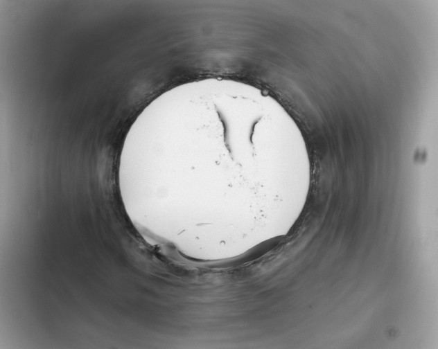 X0000101951058200808151248