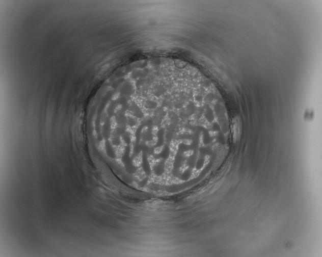 X0000101951059200808151248