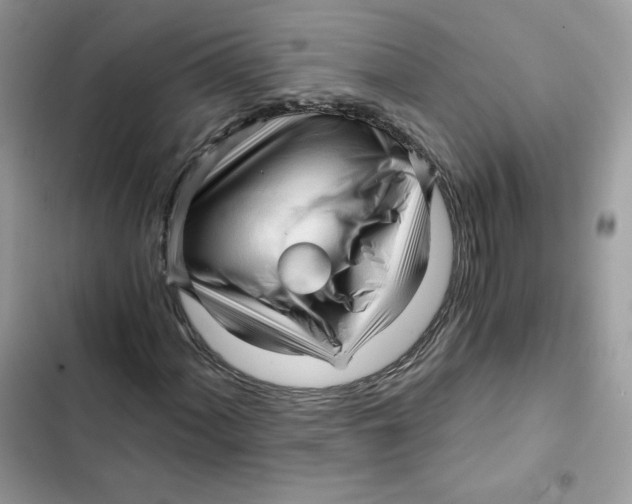 X0000101951060200808151248