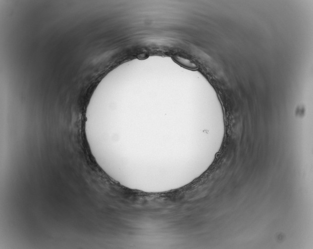 X0000101951061200808151248