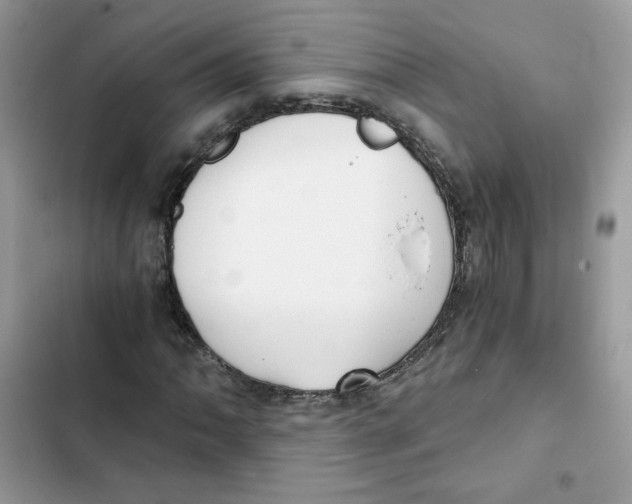 X0000101951062200808151248